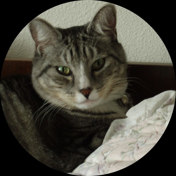 4mommakitty